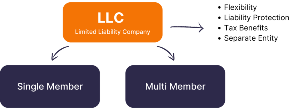 US LLC Structure